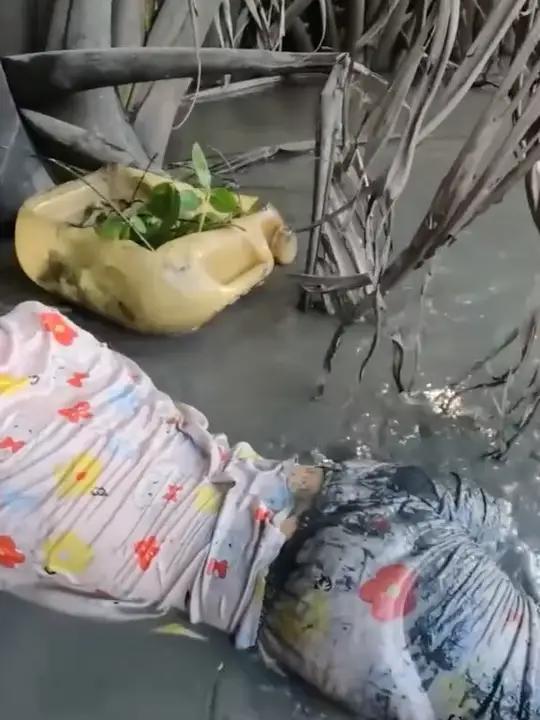 越南妹纸泥潭徒手抓鱼,自然水域,正常穿搭,无不良引导