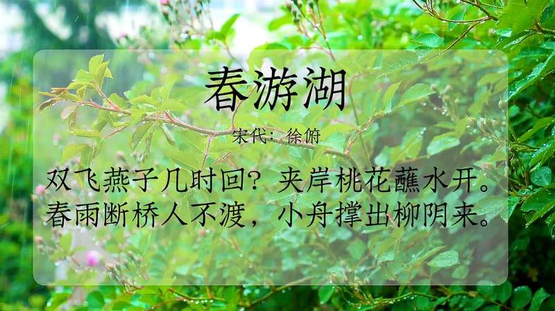 古诗朗诵春游湖徐俯双飞燕子几时回夹岸桃花蘸水开