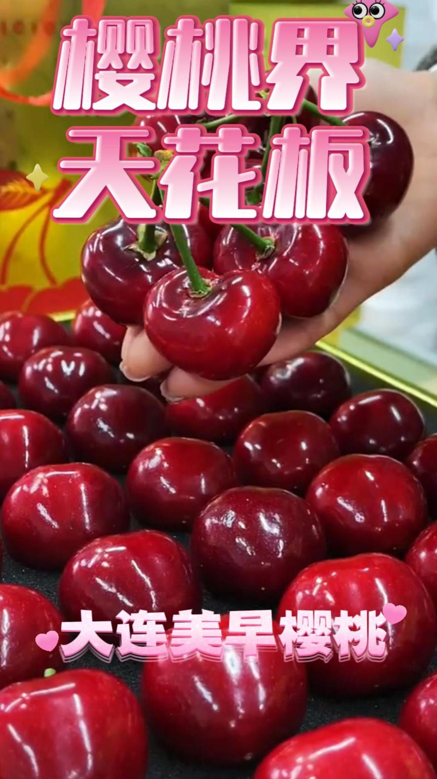 樱桃里的精品,大连美早