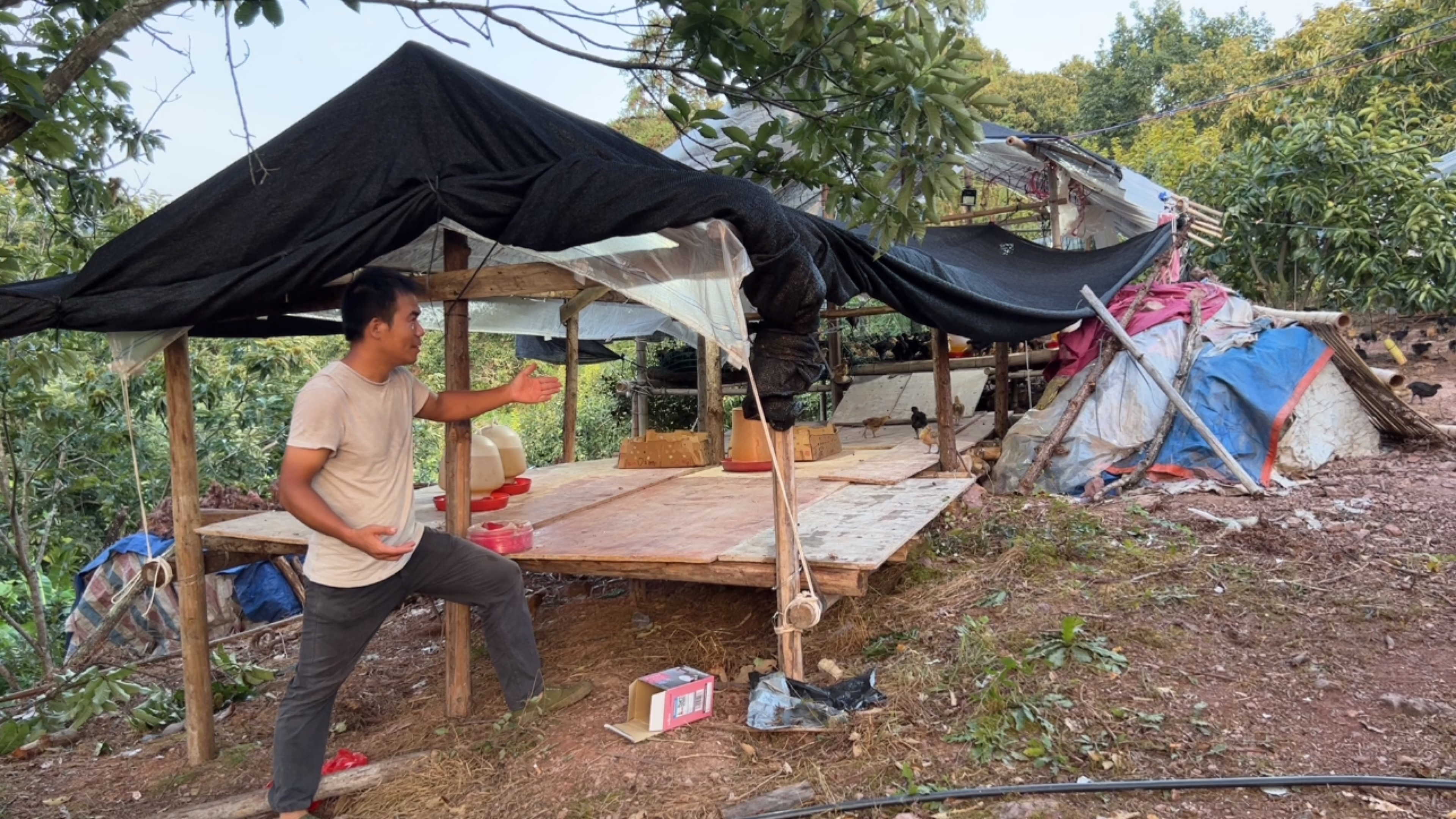 经过大半天的努力,扩建的鸡棚终于搭好了,阿金为鸡场操碎了心