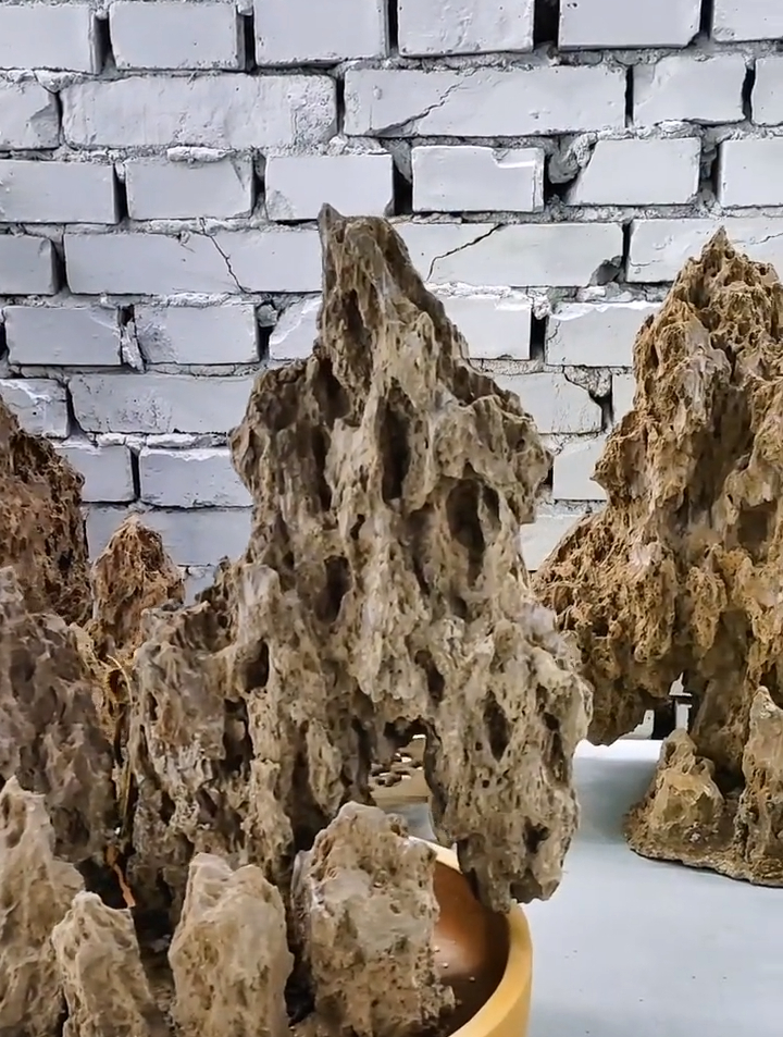 各种款式黑松皮石假山已就位-度小视