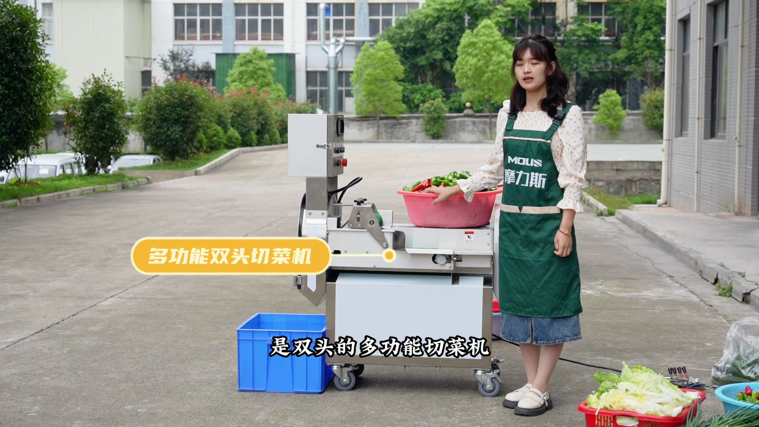 根茎类切菜机 自动辣椒切丝切片机