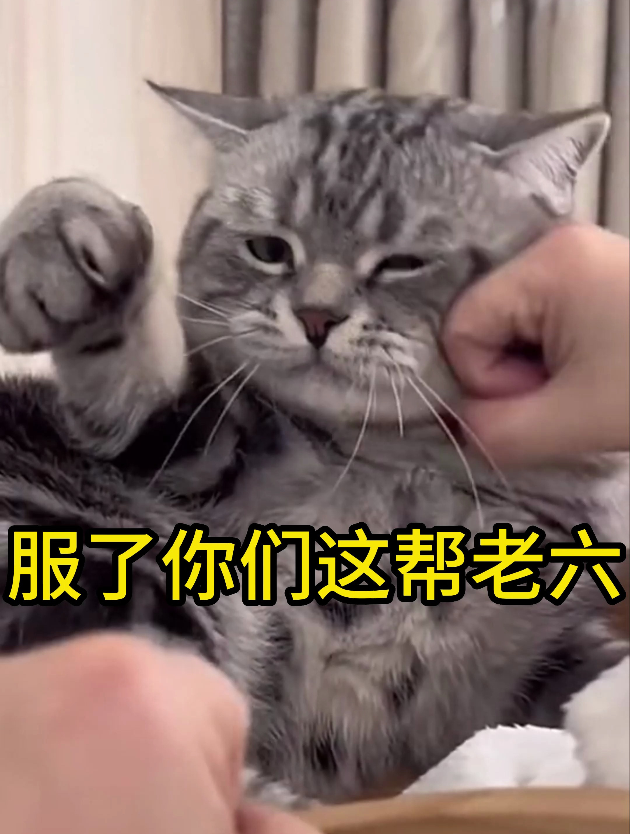 真服了你们这帮老六