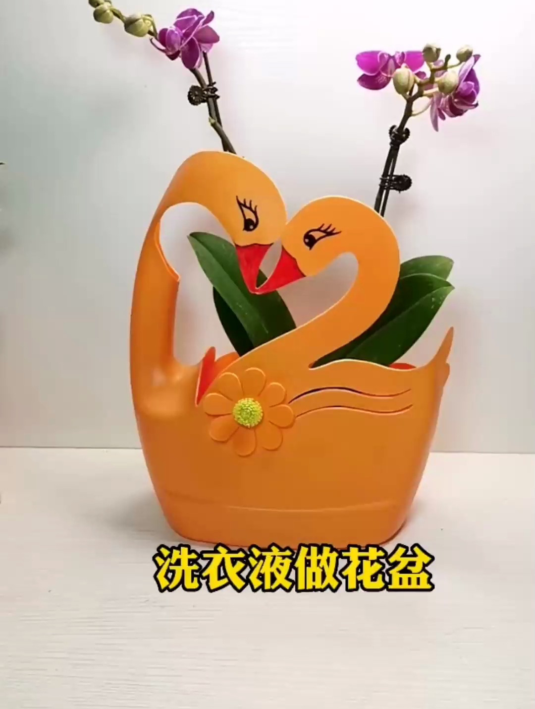 洗衣液瓶千万别扔做个花盆吧