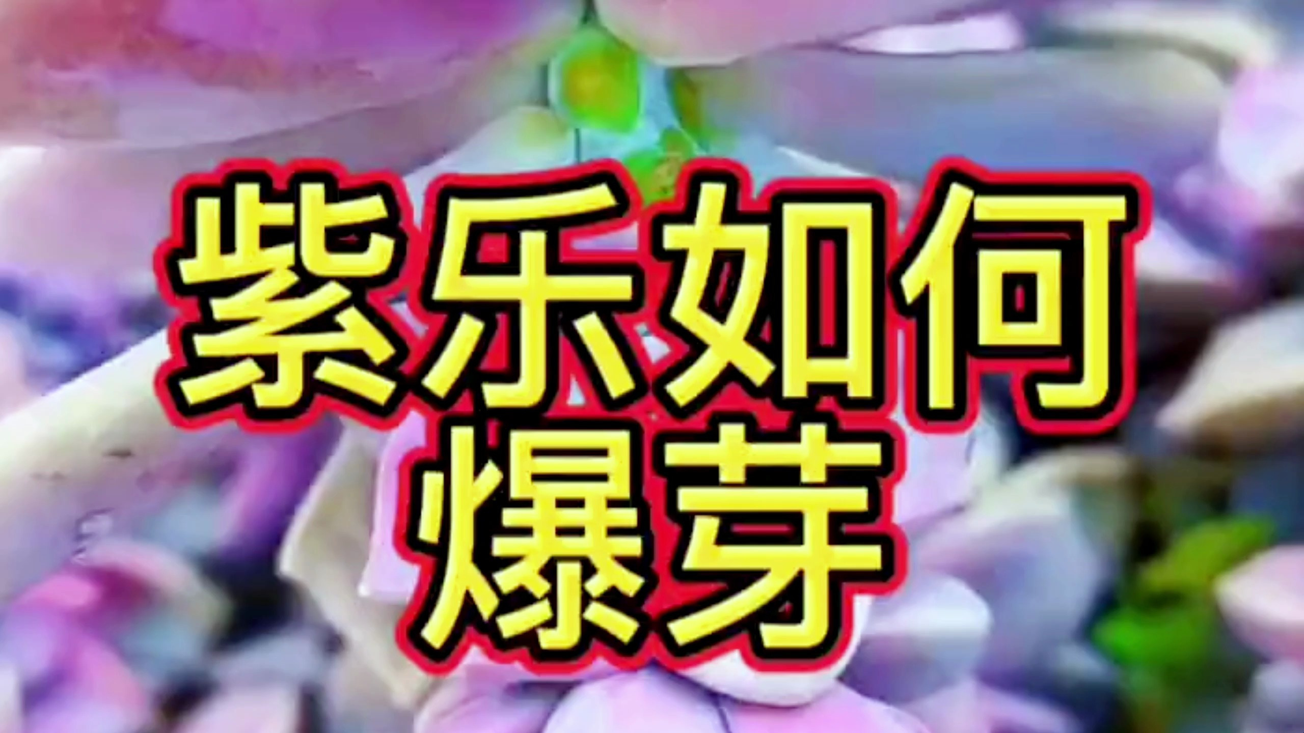 想让多肉杆子爆侧芽?试试这招,效果太意外了!