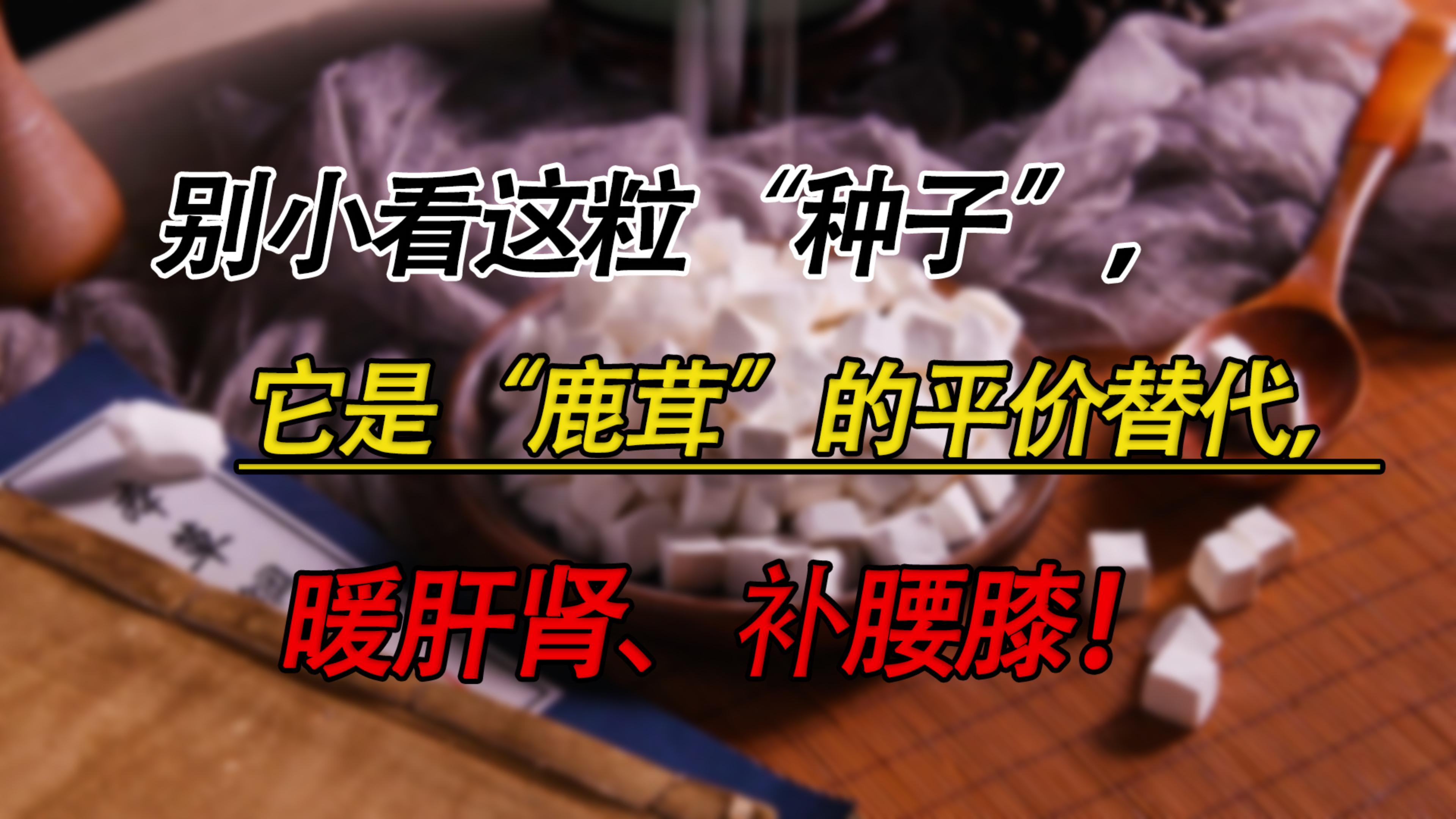 韭菜的种子是一种药?