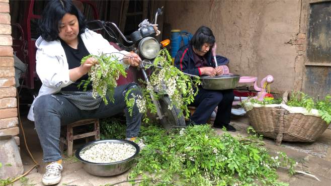 [图]又一年槐花香，全村人都来摘洋槐花，50年的老槐树差点被拦腰折断