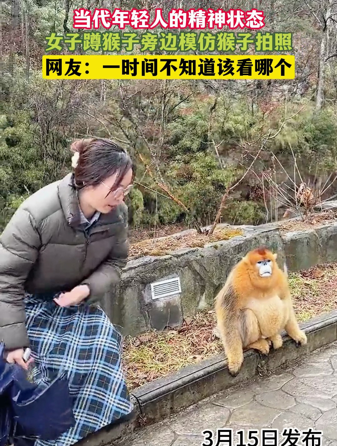 当代年轻人的精神状态,女子蹲猴子旁边模仿猴子拍照