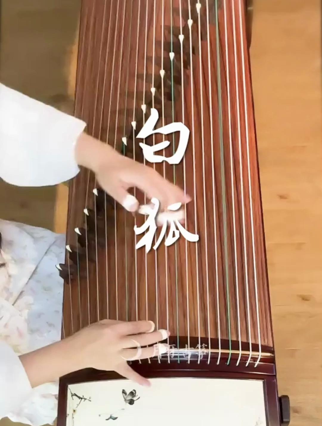 月牙清风古筝弹奏《白狐》非常经典的一首歌,深情感人