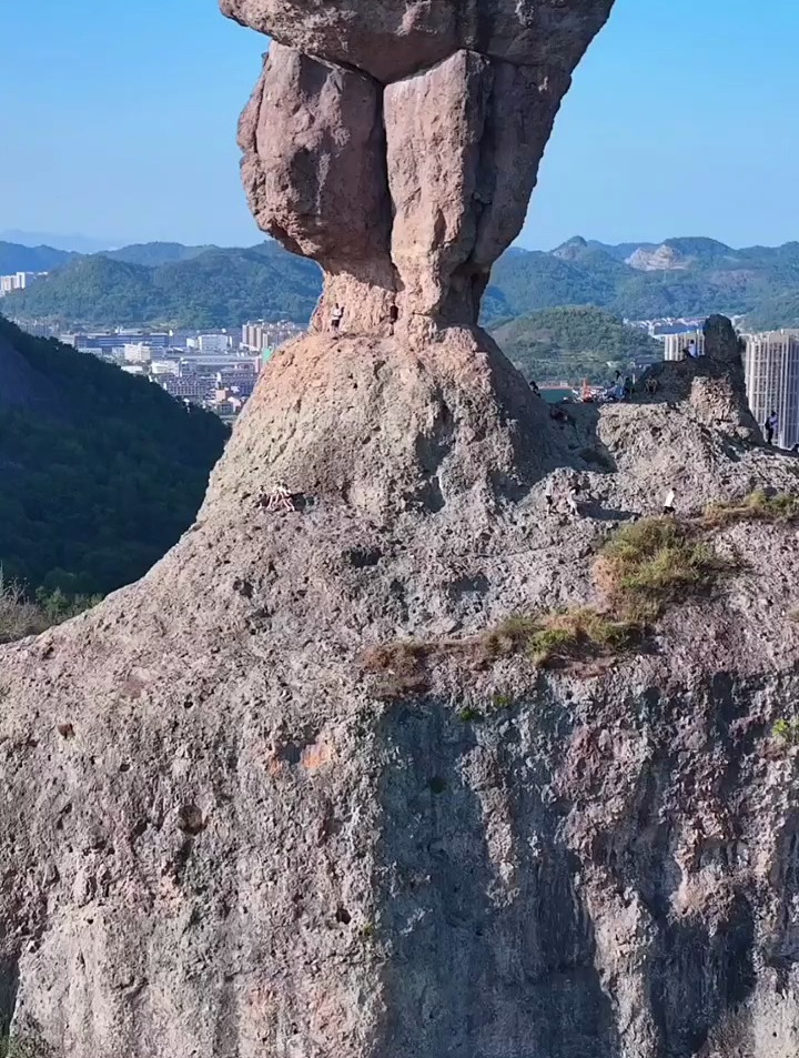 黄岩石夫人图片