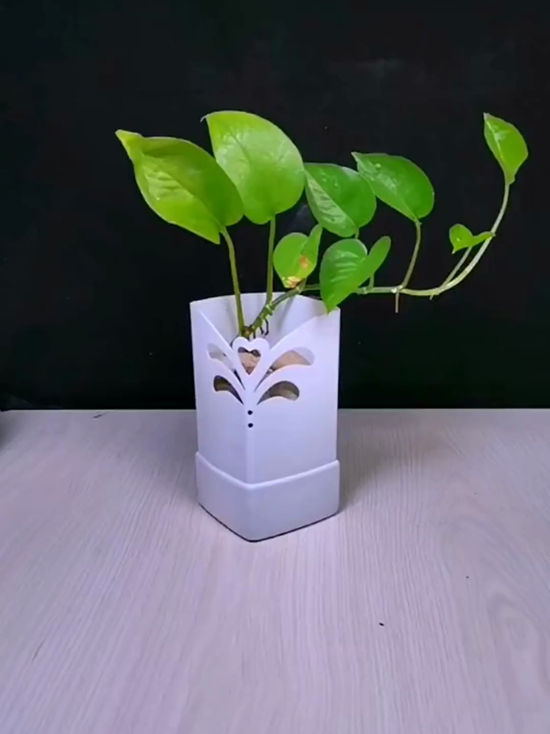 塑料瓶手工改造一个小花瓶还不错吧