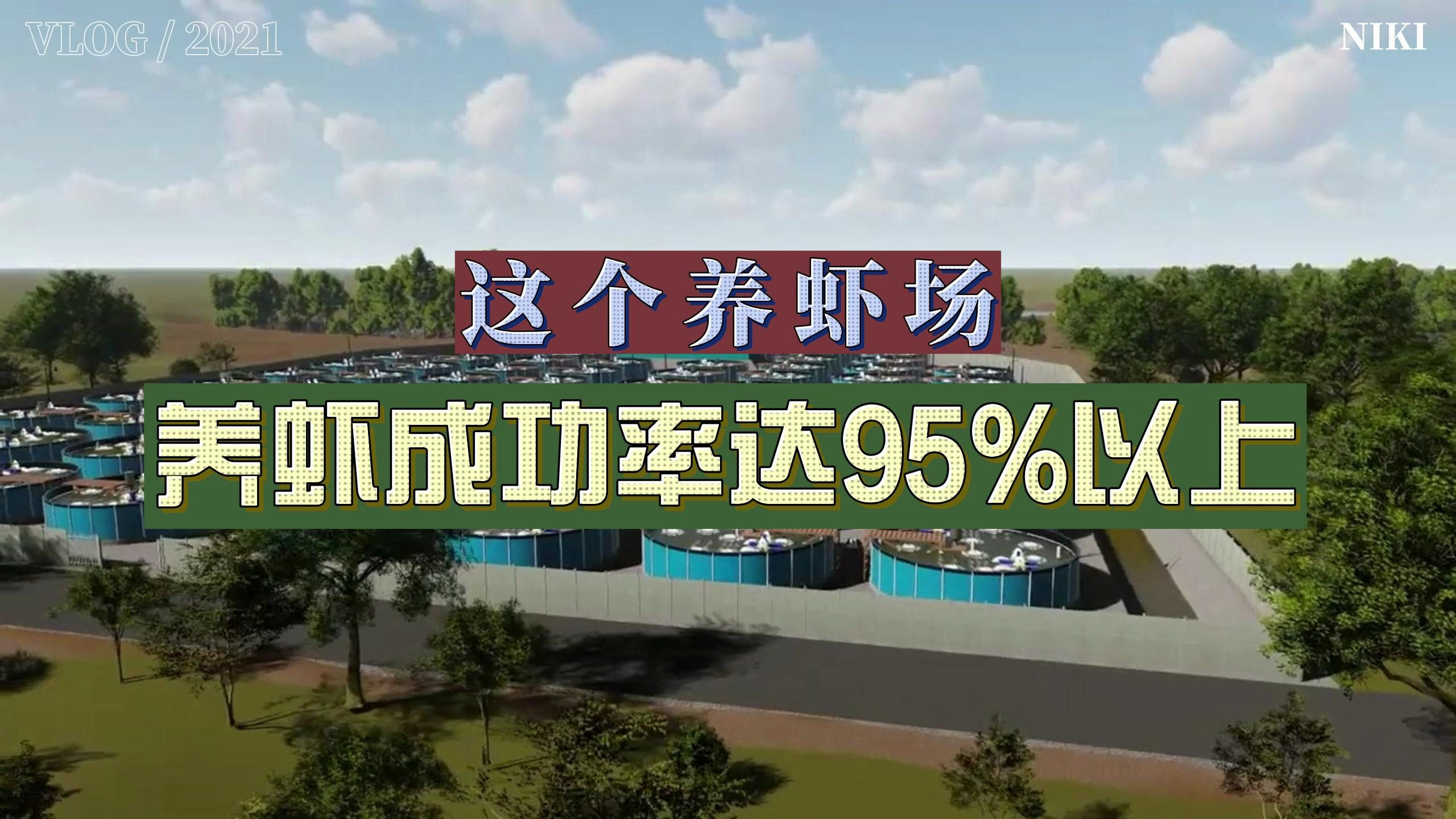 厉害了!养虾场这样设计,养成成功率达95%以上!