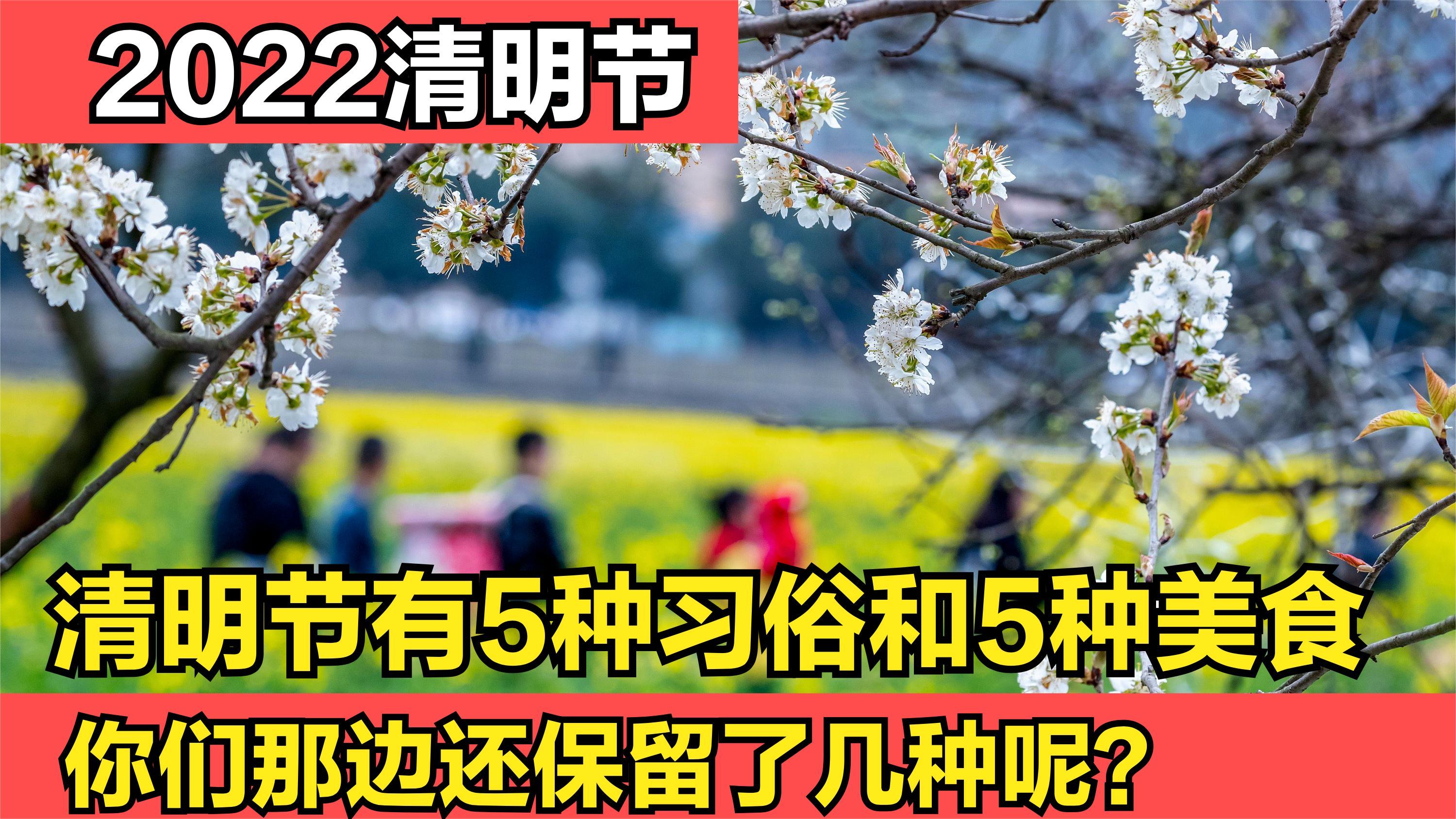 2022清明节来了,有5种传统习俗和5种美食,你们那边还保留几种呢
