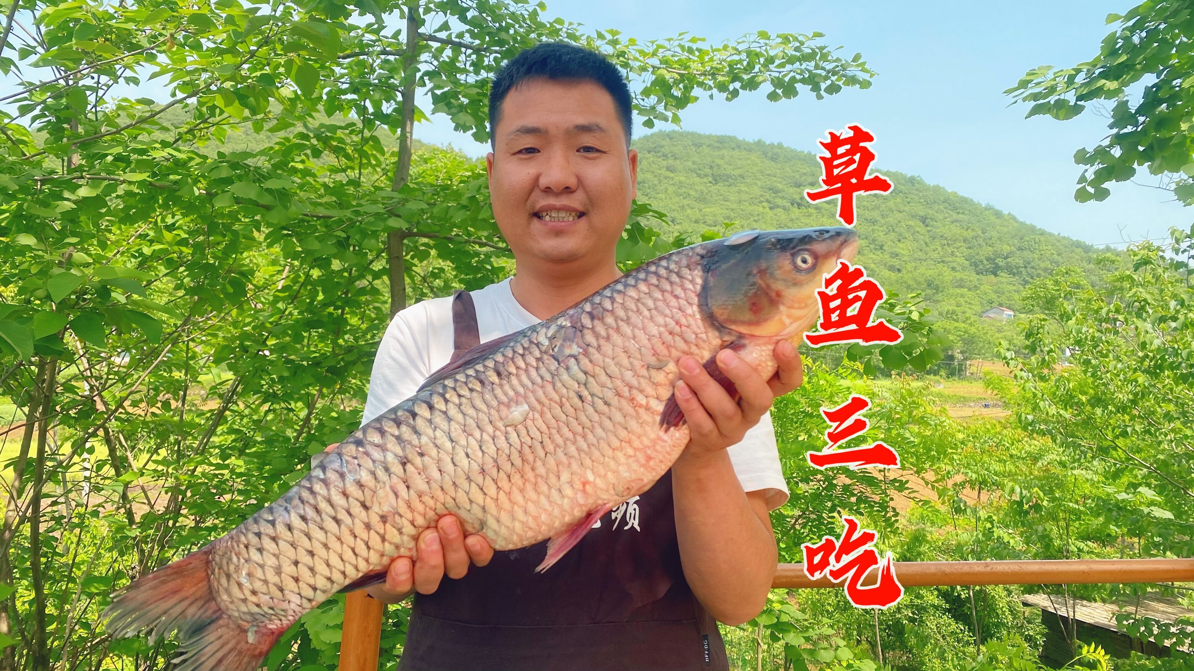 家里请工做事,整条十斤大草鱼招待,农村小院围一桌,好热闹