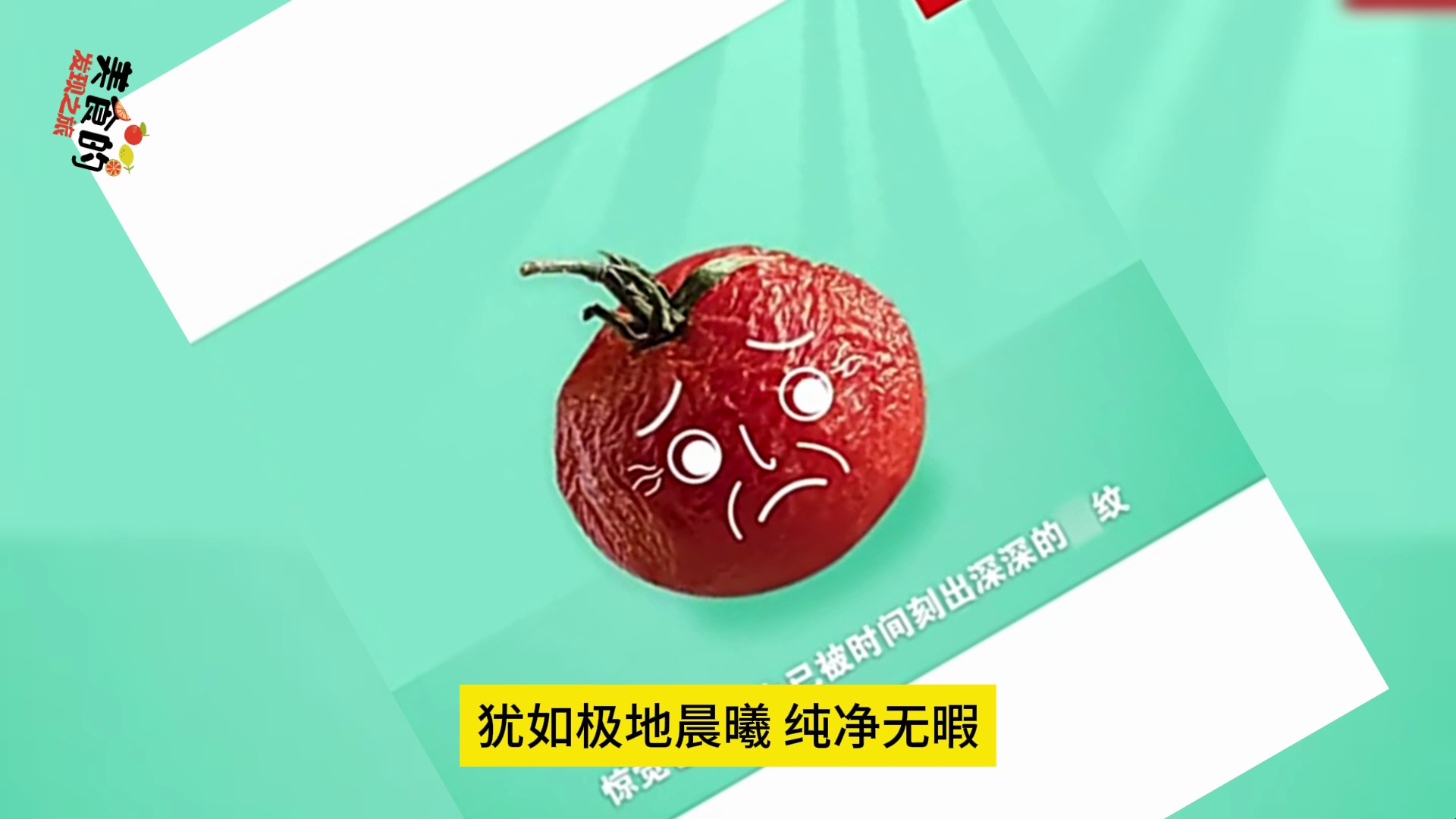 深海鱼油十大名牌排行榜:选对品牌守护健康,你的选择上榜了吗