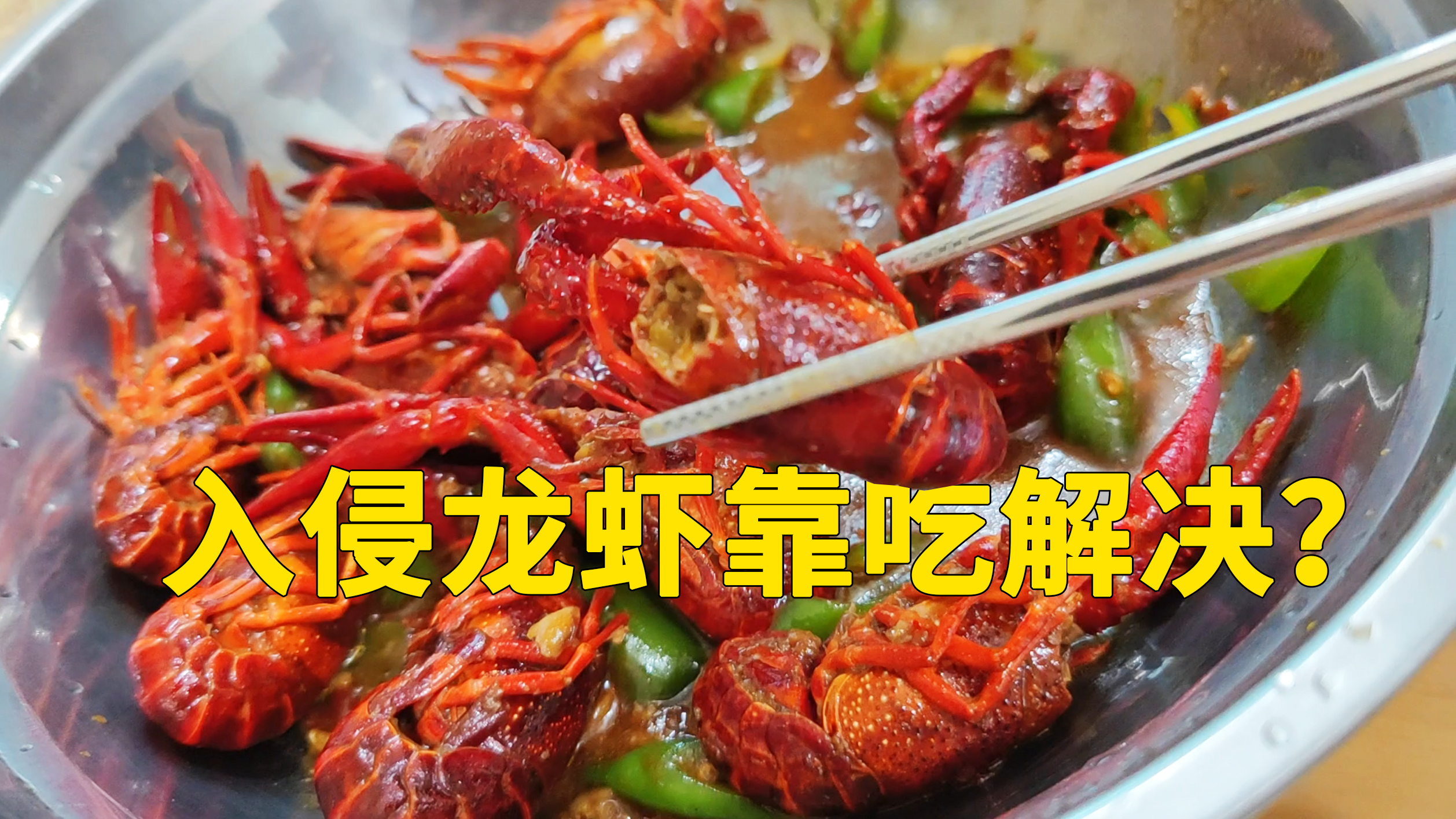 小龙虾入侵泛滥,为什么还卖二十多块钱一斤?