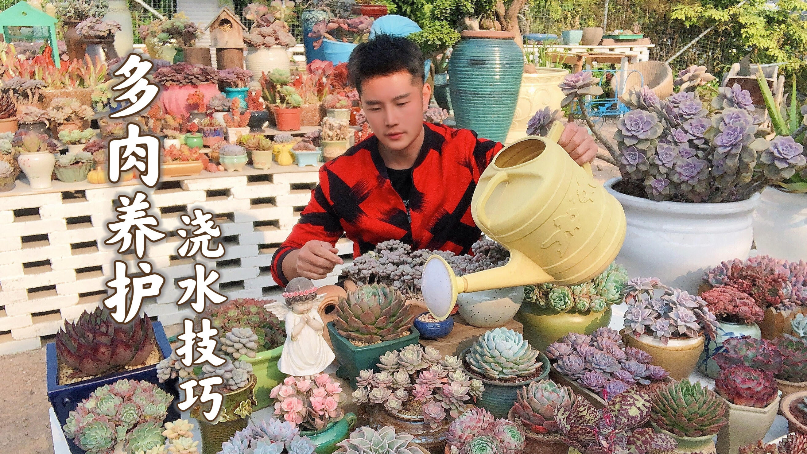不要乱给多肉浇水，浇透水和溜边浇大有区别，正确的方法教给你！