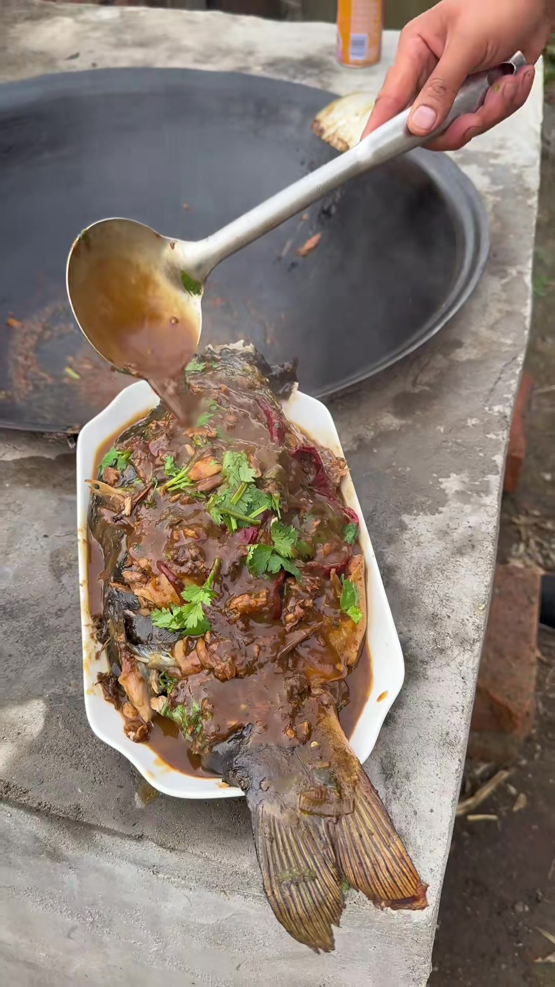 66. 农村美食 农村柴火饭 家常便饭吃得香