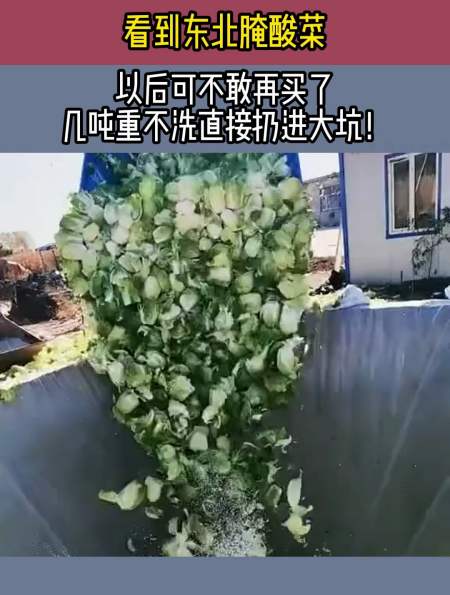 东北酸菜土坑图片