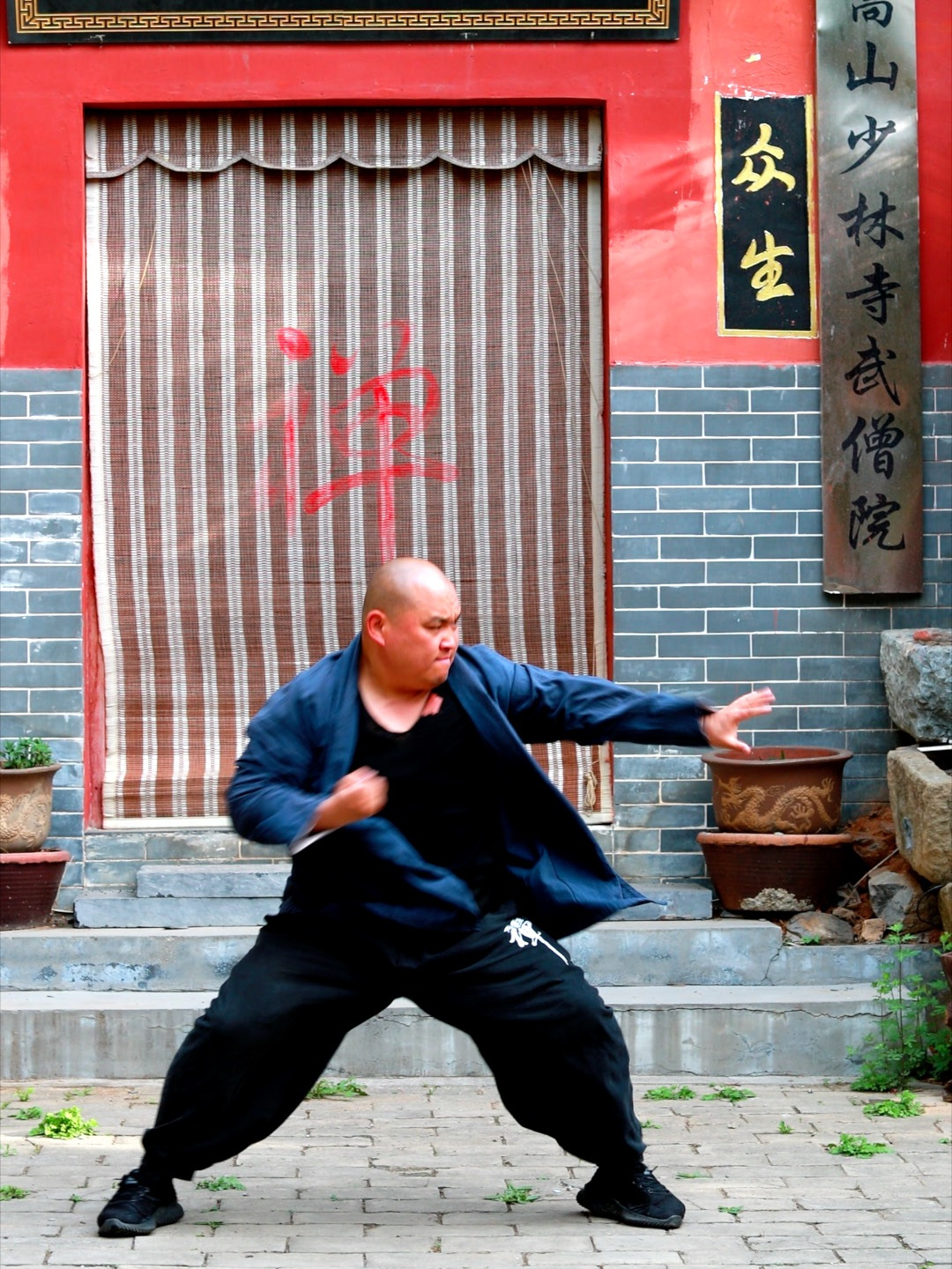 少林功夫之少林五形八法拳