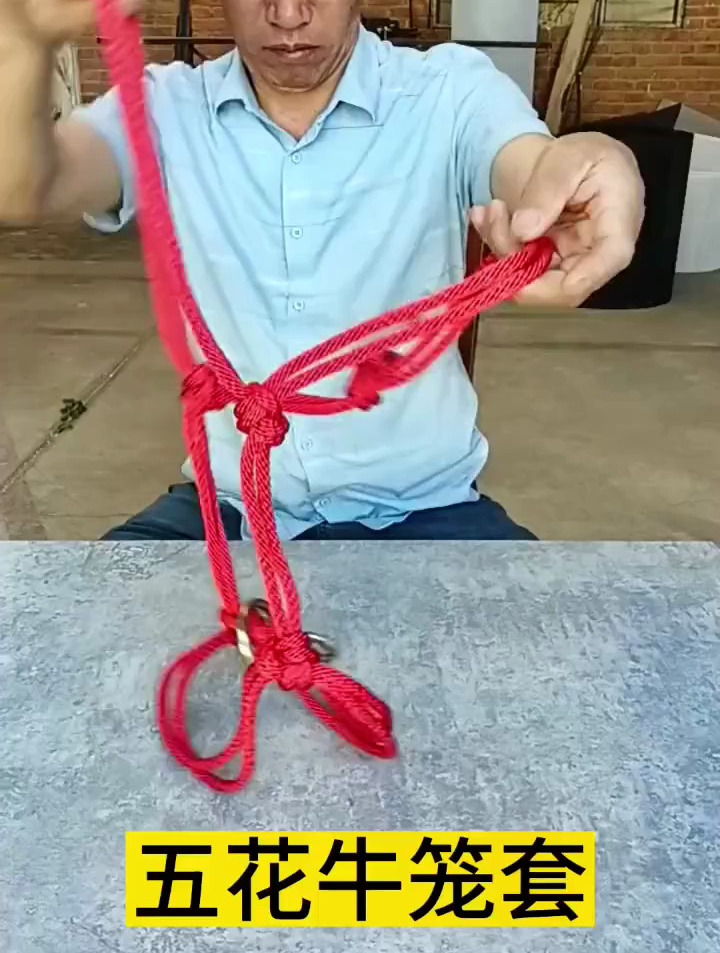 非常实用的五花牛笼套,养牛人必备的技能