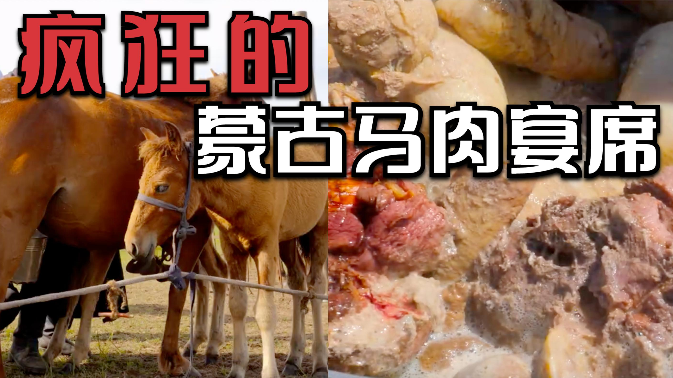 你吃过马肉吗?世界美食草原马肉宴!