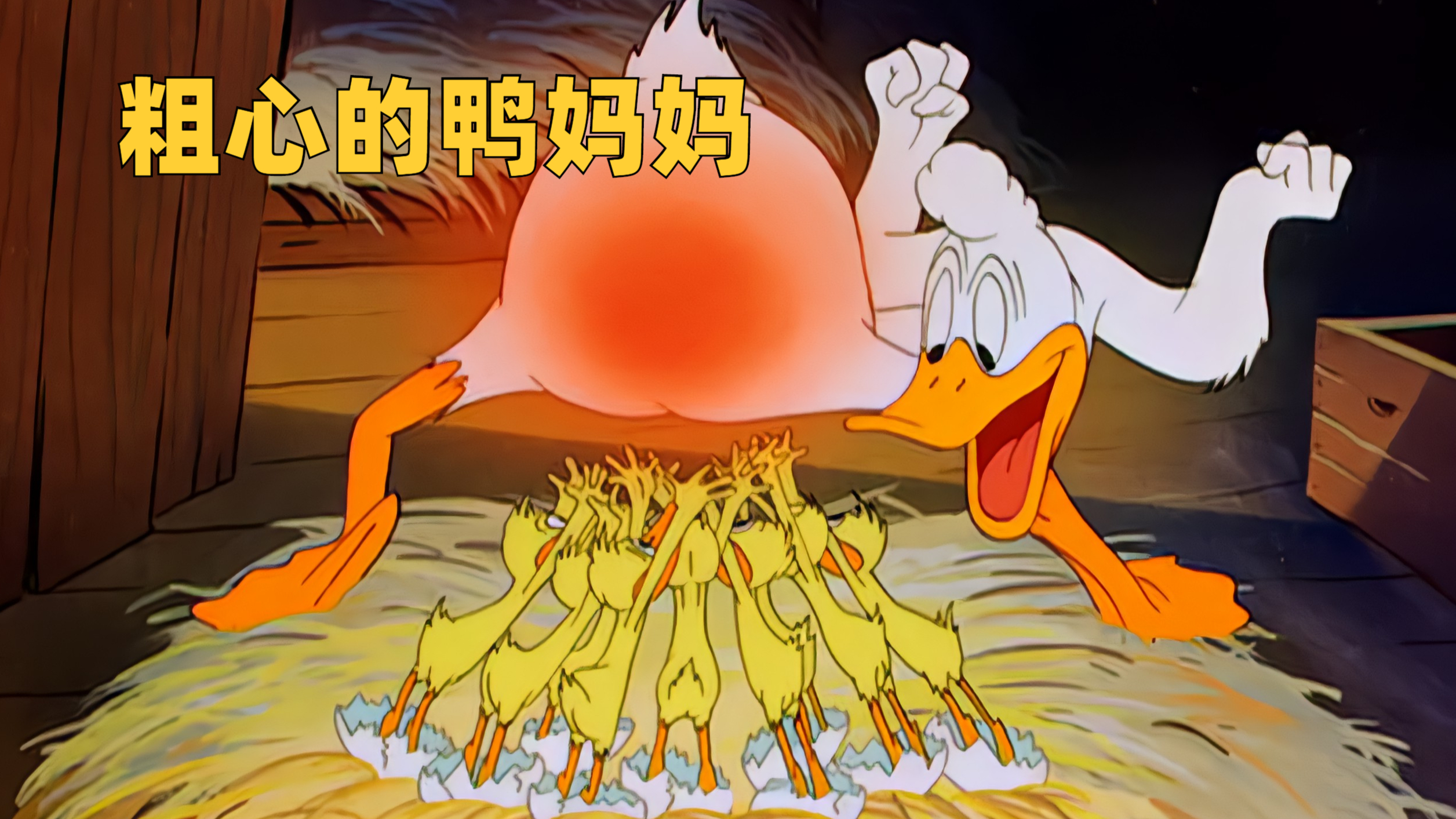 你见过这么粗心的鸭妈妈吗?因为粗心,导致丢了一个孩子