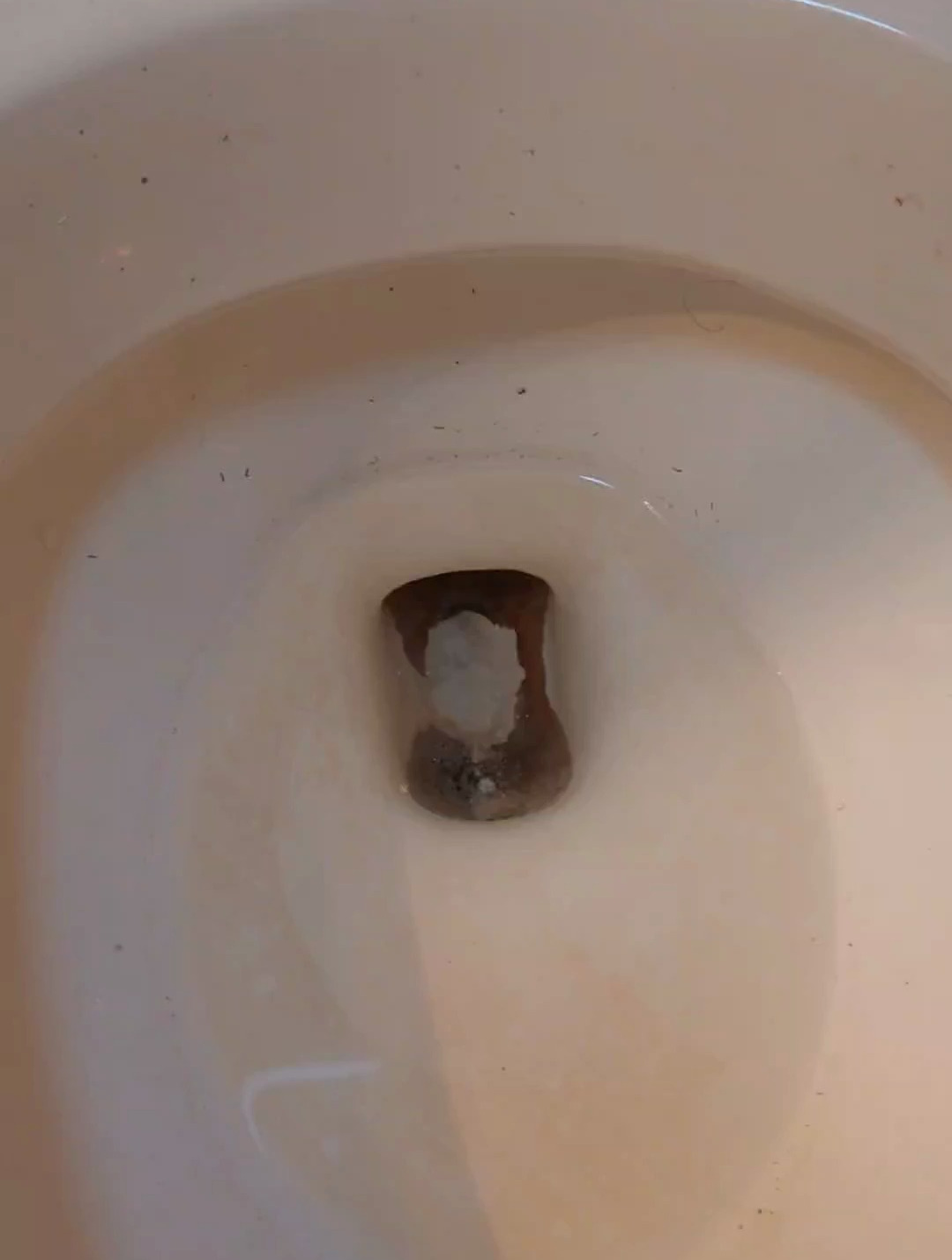 马桶s弯管道厚厚的尿碱快速溶解的方法!