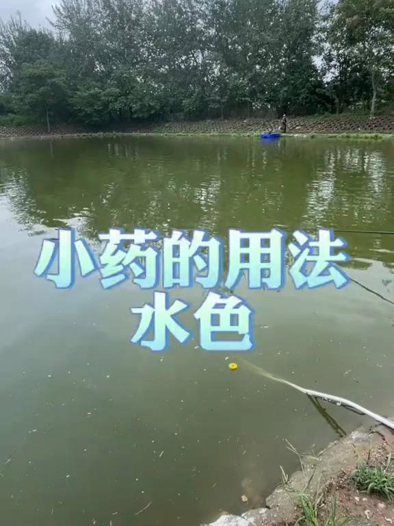 小药的用法和水色的关系如何区分