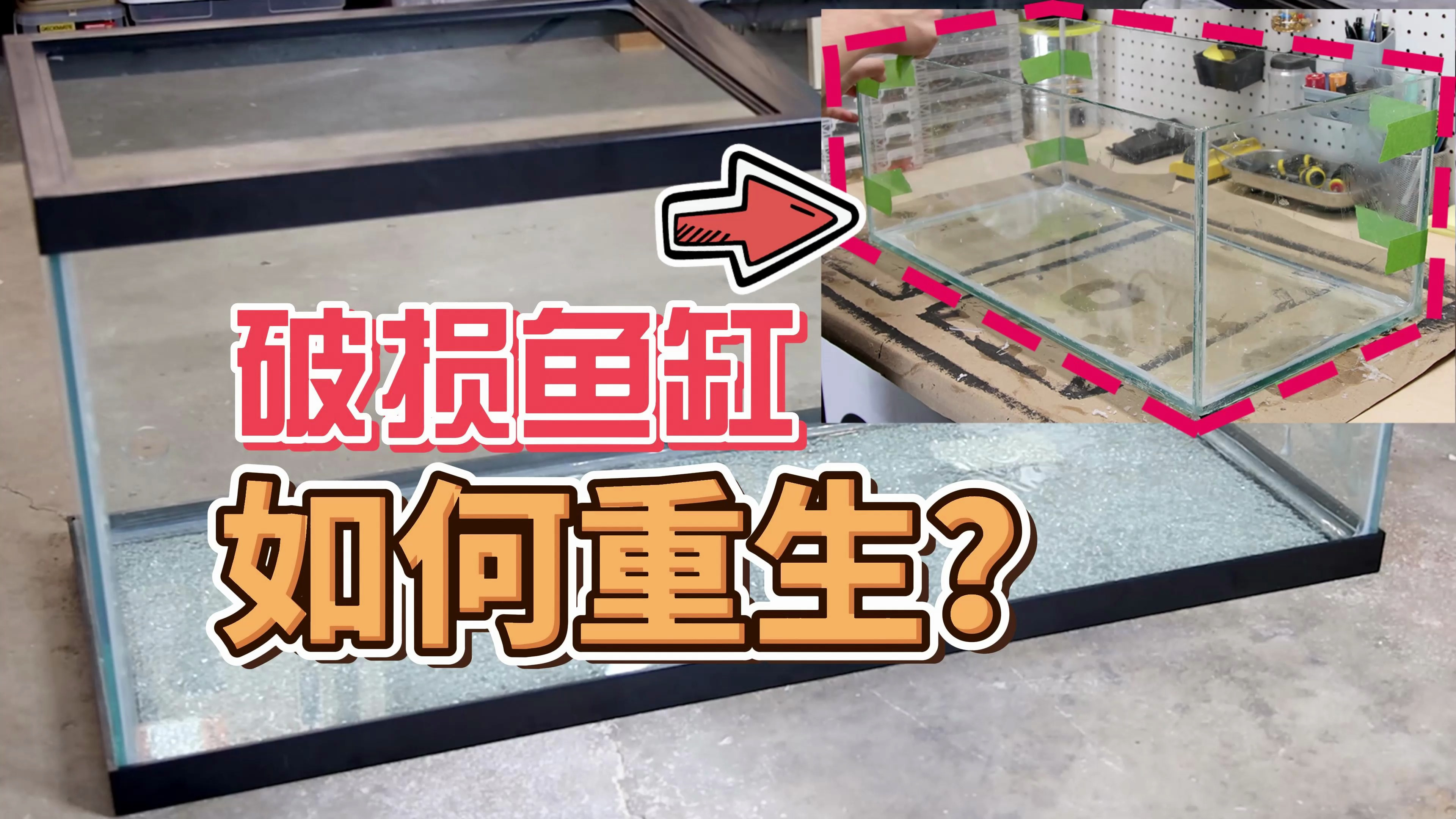 如何让一个破损鱼缸起死回生?