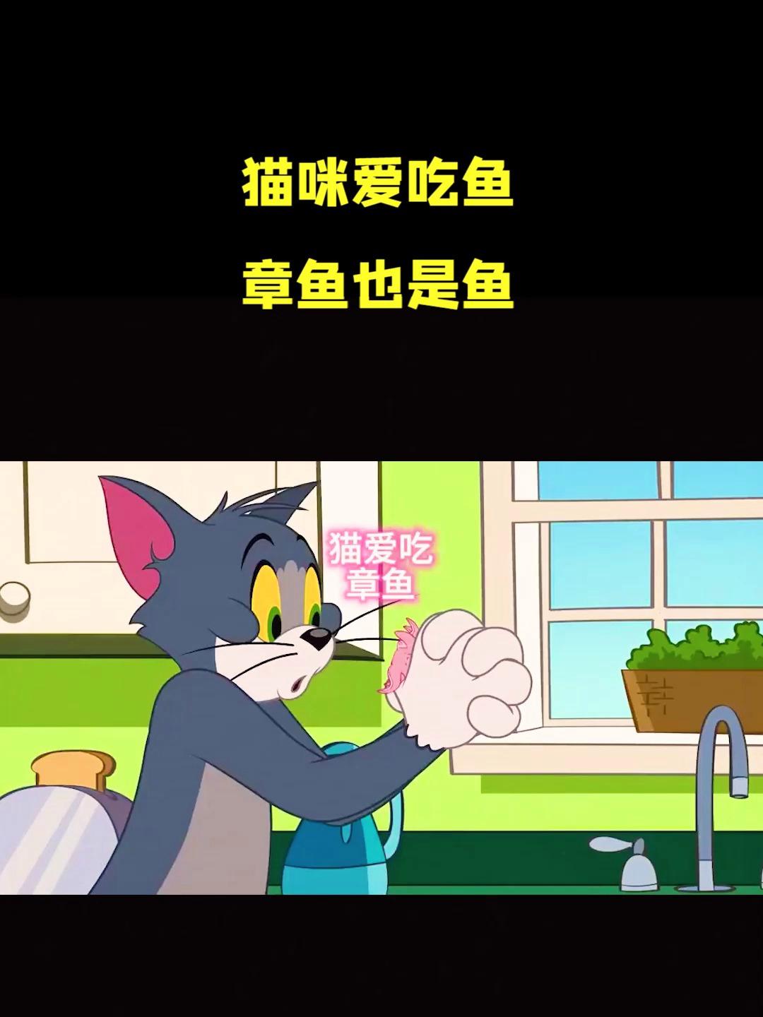 猫和老鼠动画片:猫咪爱吃鱼,章鱼也是鱼 动漫