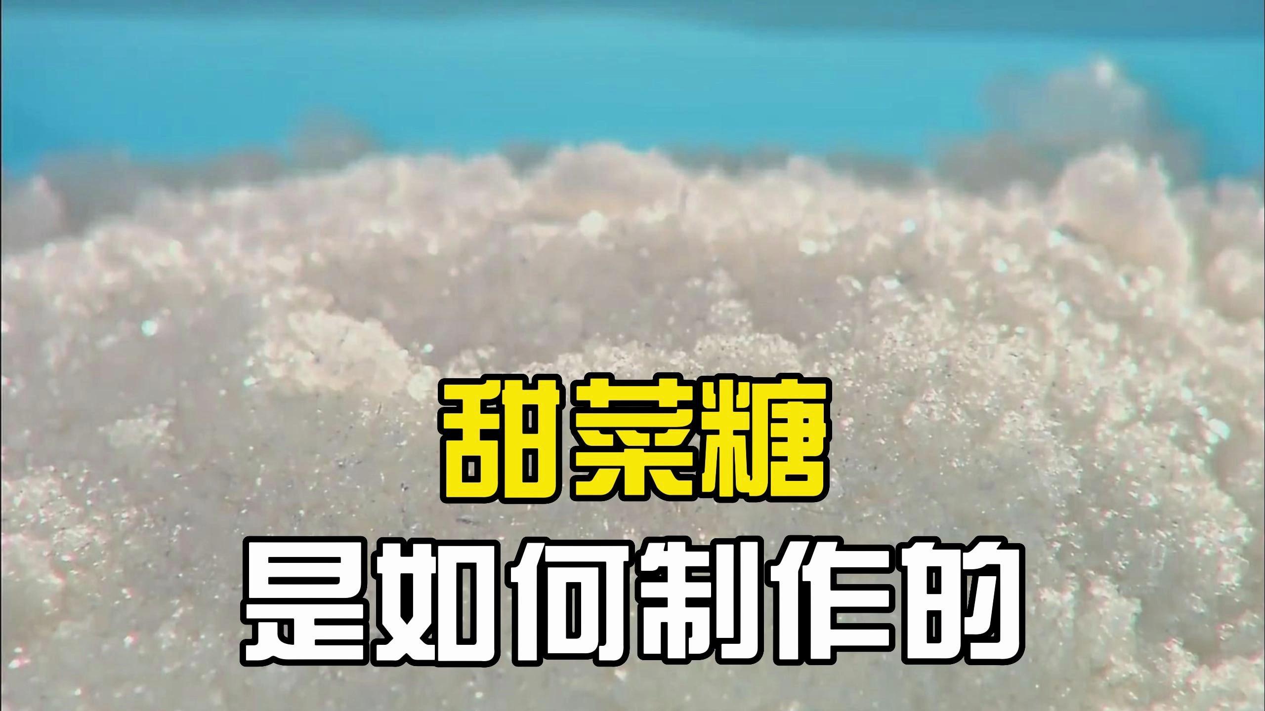 甜菜制成的糖和甘蔗制成的糖,哪一个更甜呢?