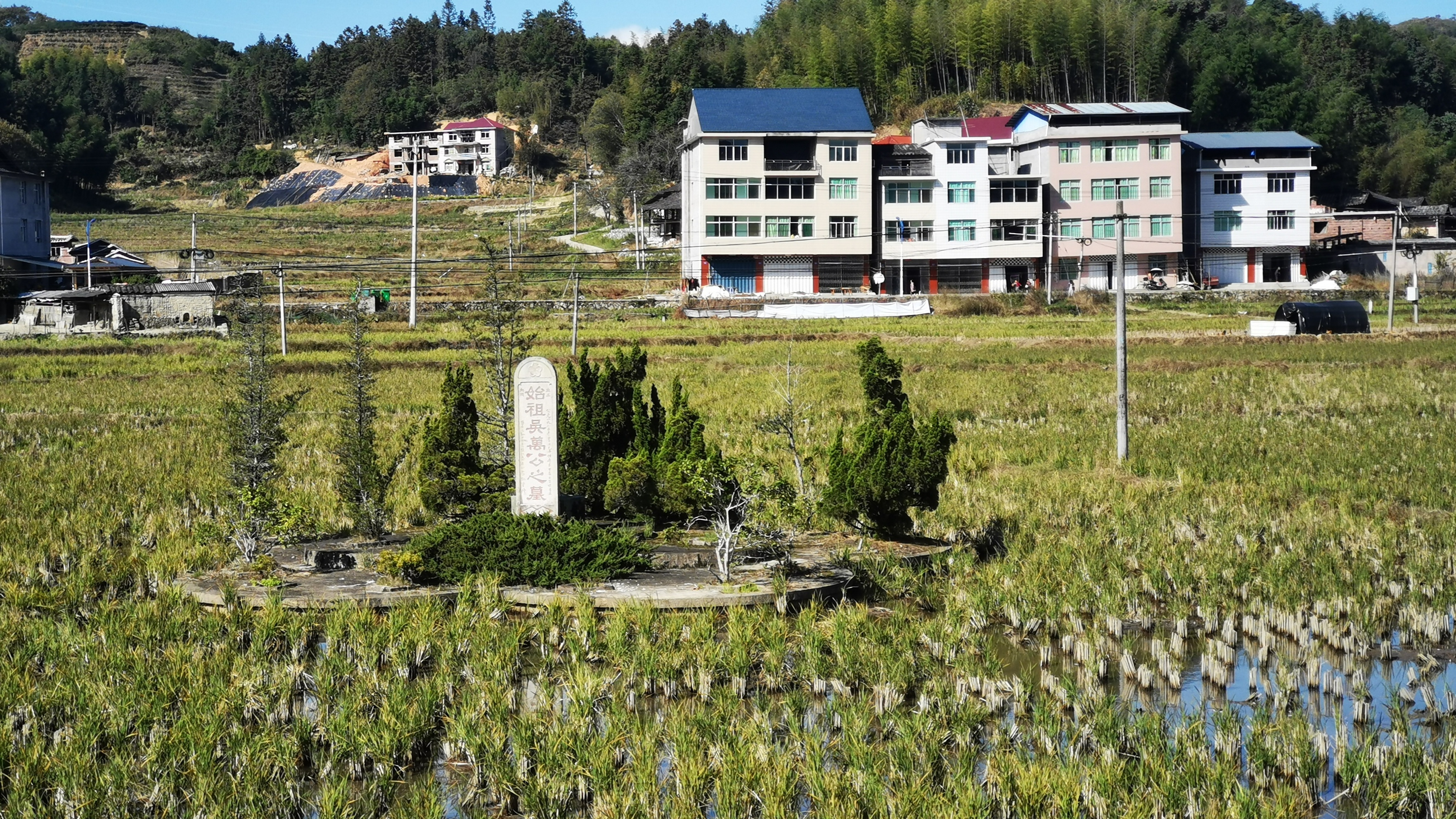 福建农村发现鸭子墓,传说引起各大家族相争,到底怎么回事