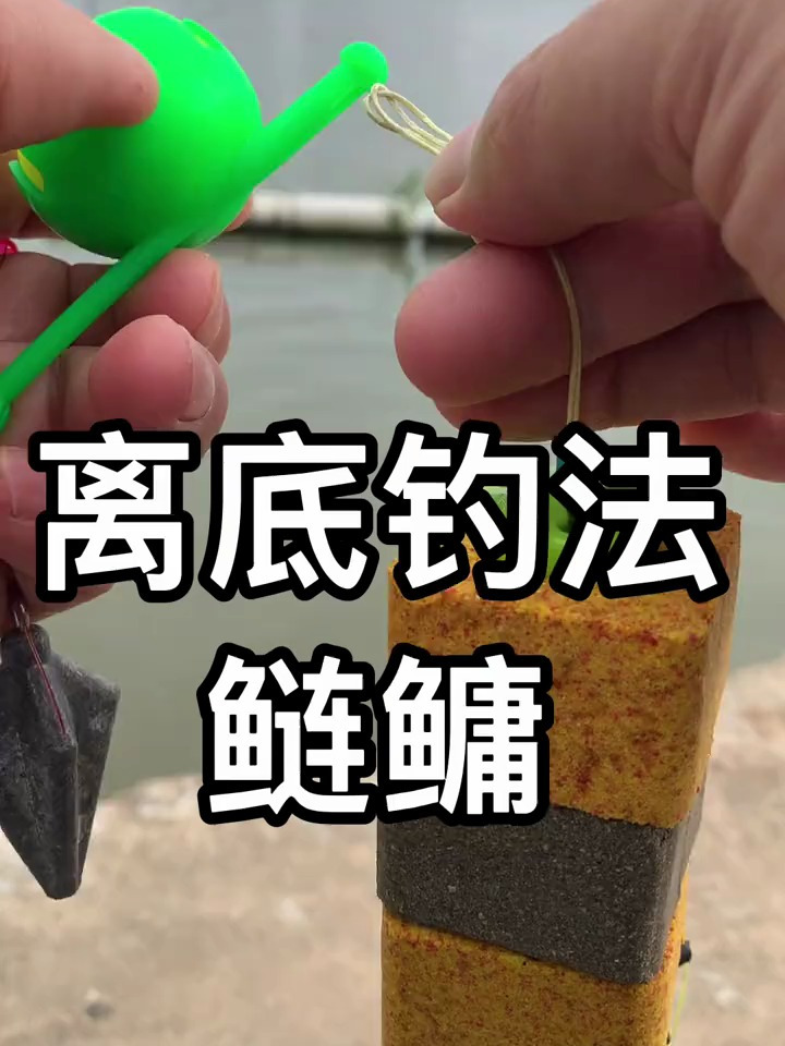 离底钓法鲢鳙你学会了吗