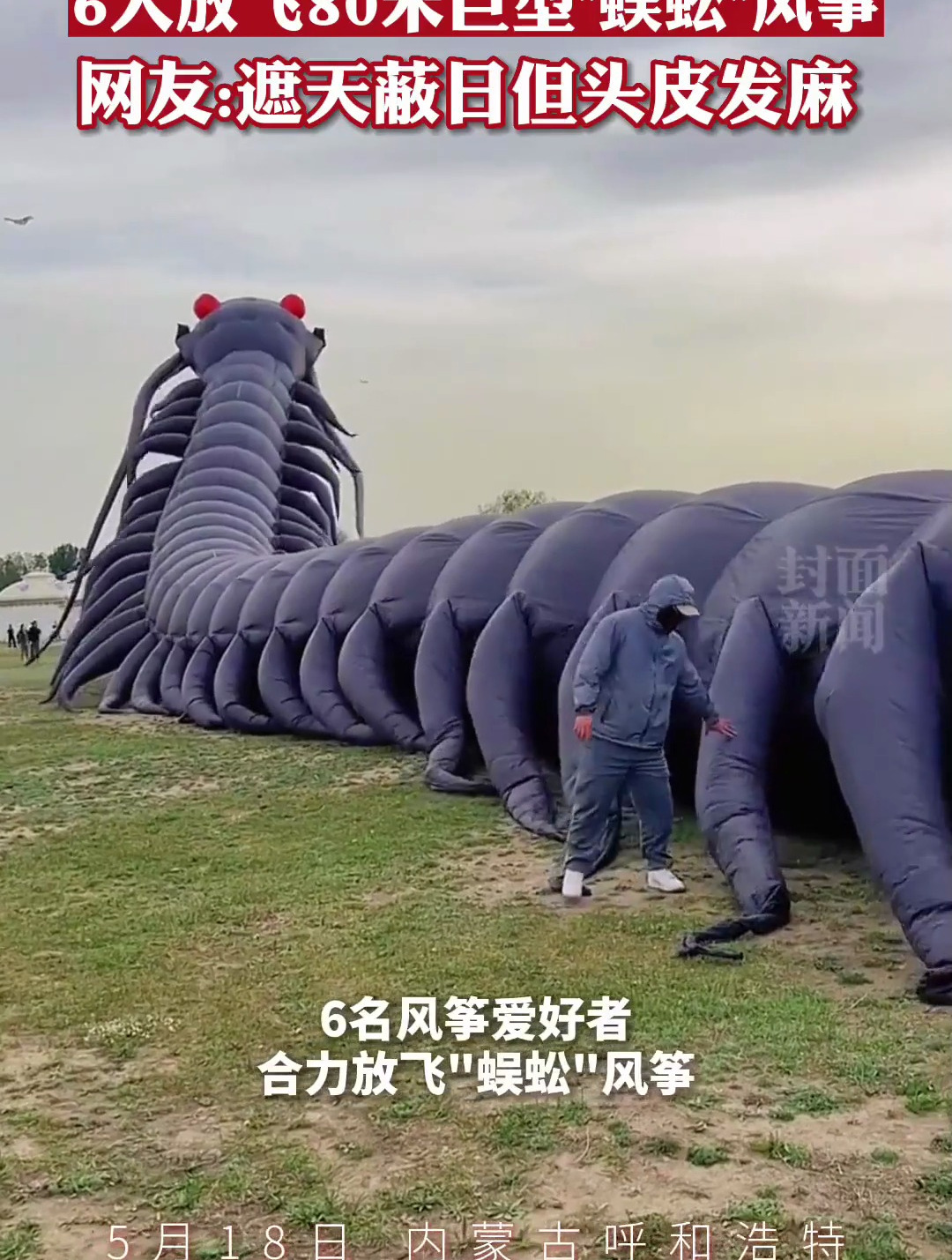 6名风筝爱好者合力放飞80米长巨型蜈蚣风筝飞起来那一刻被惊到了