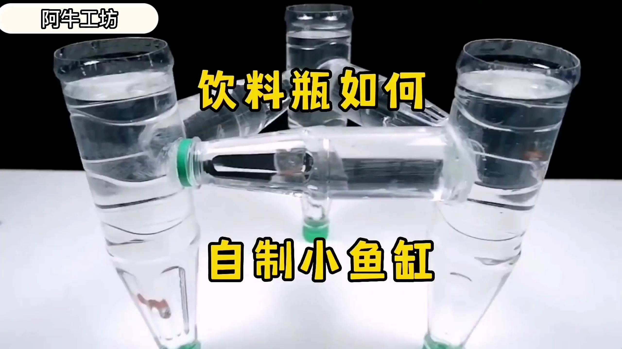 废旧饮料瓶不要扔,一分钟让你学会如何制作小鱼缸,漂亮又耐用