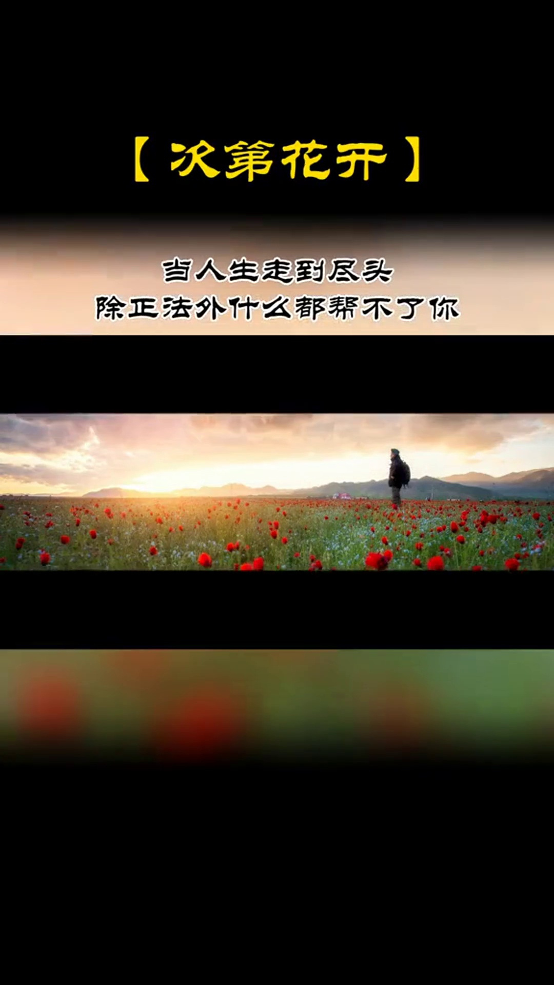 「次第花开」当你放下成见,伪装和打算,不再牵挂,焦虑和希求