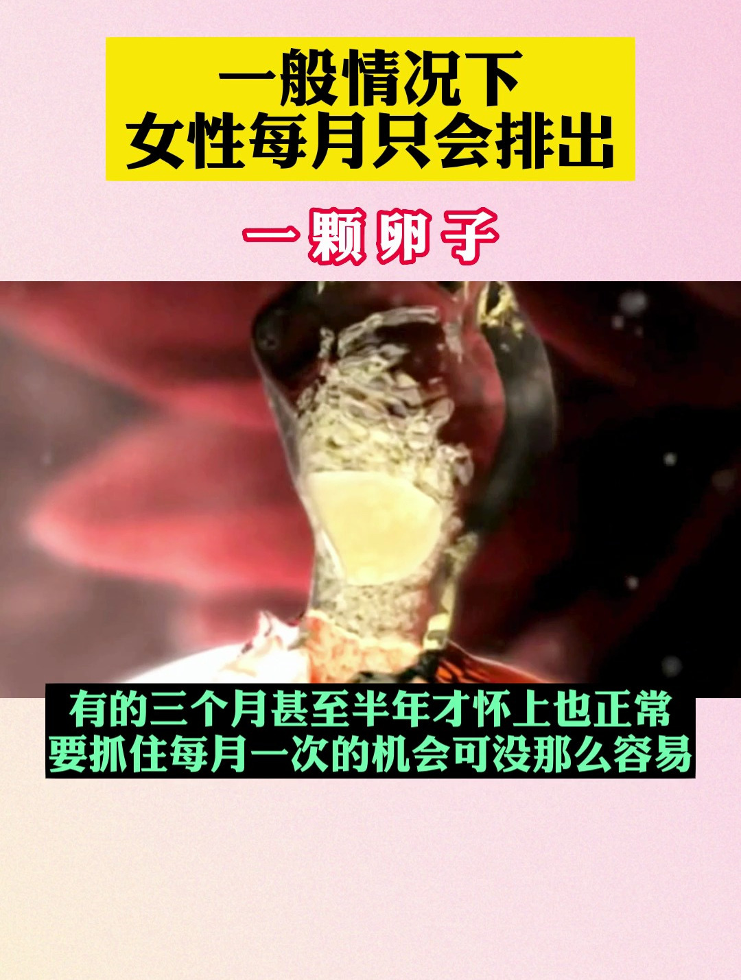 一般情况下,女性每月只会排出一颗卵子