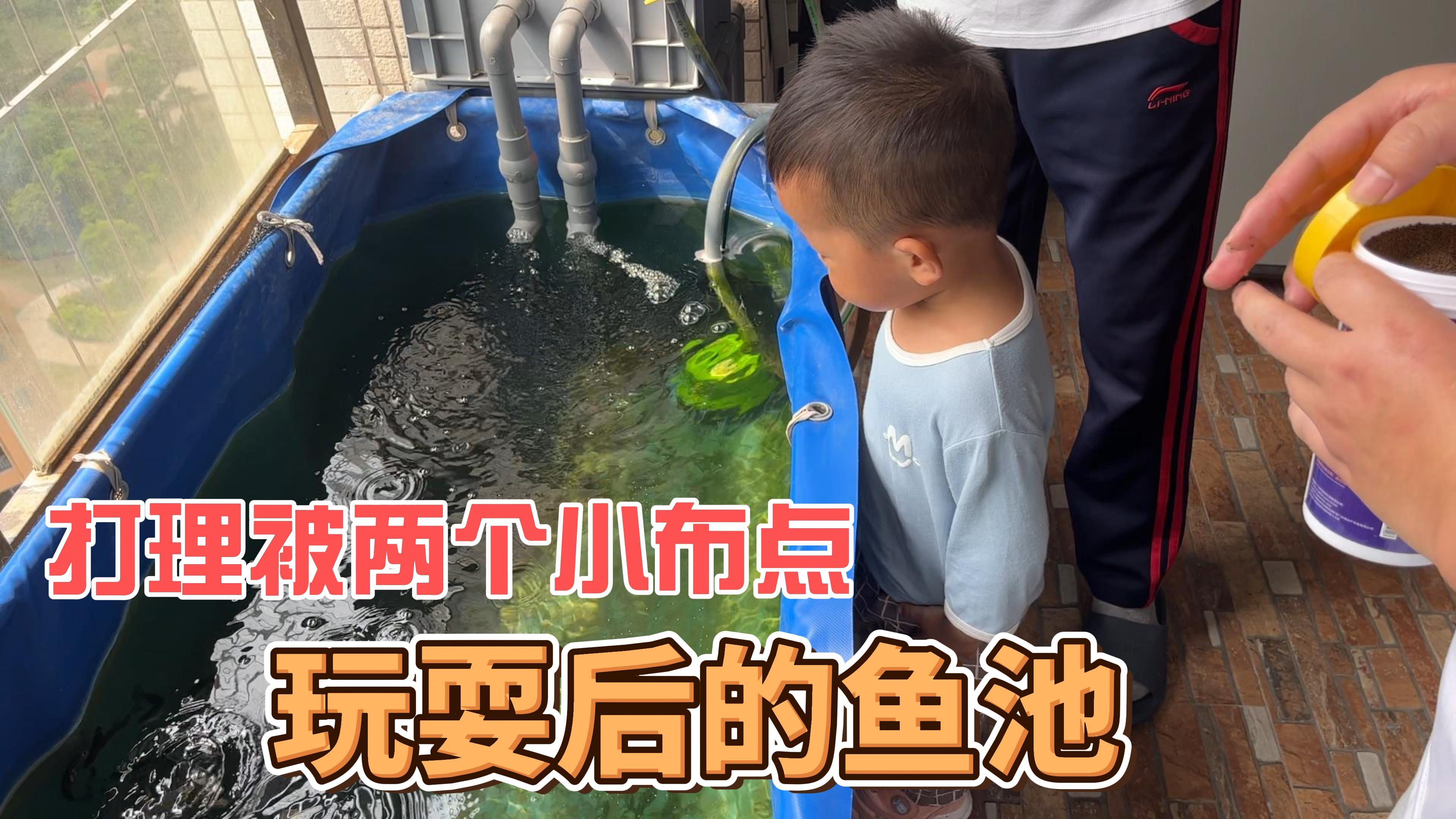 两个堂哥带小孩来家里做客,小不点爱上玩鱼池,清理玩耍后的鱼池