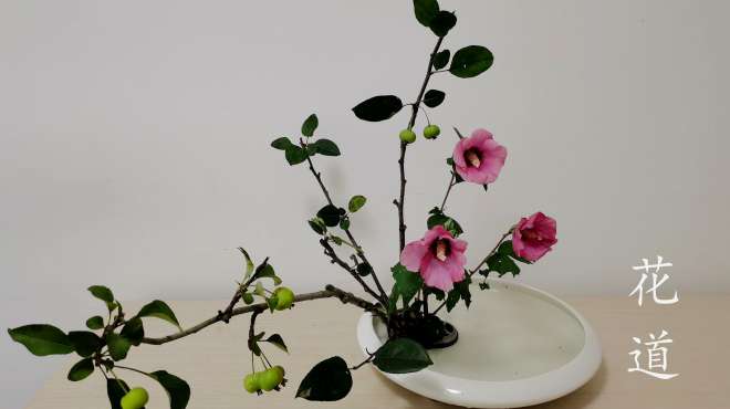 玉雷的插花生活 好看视频