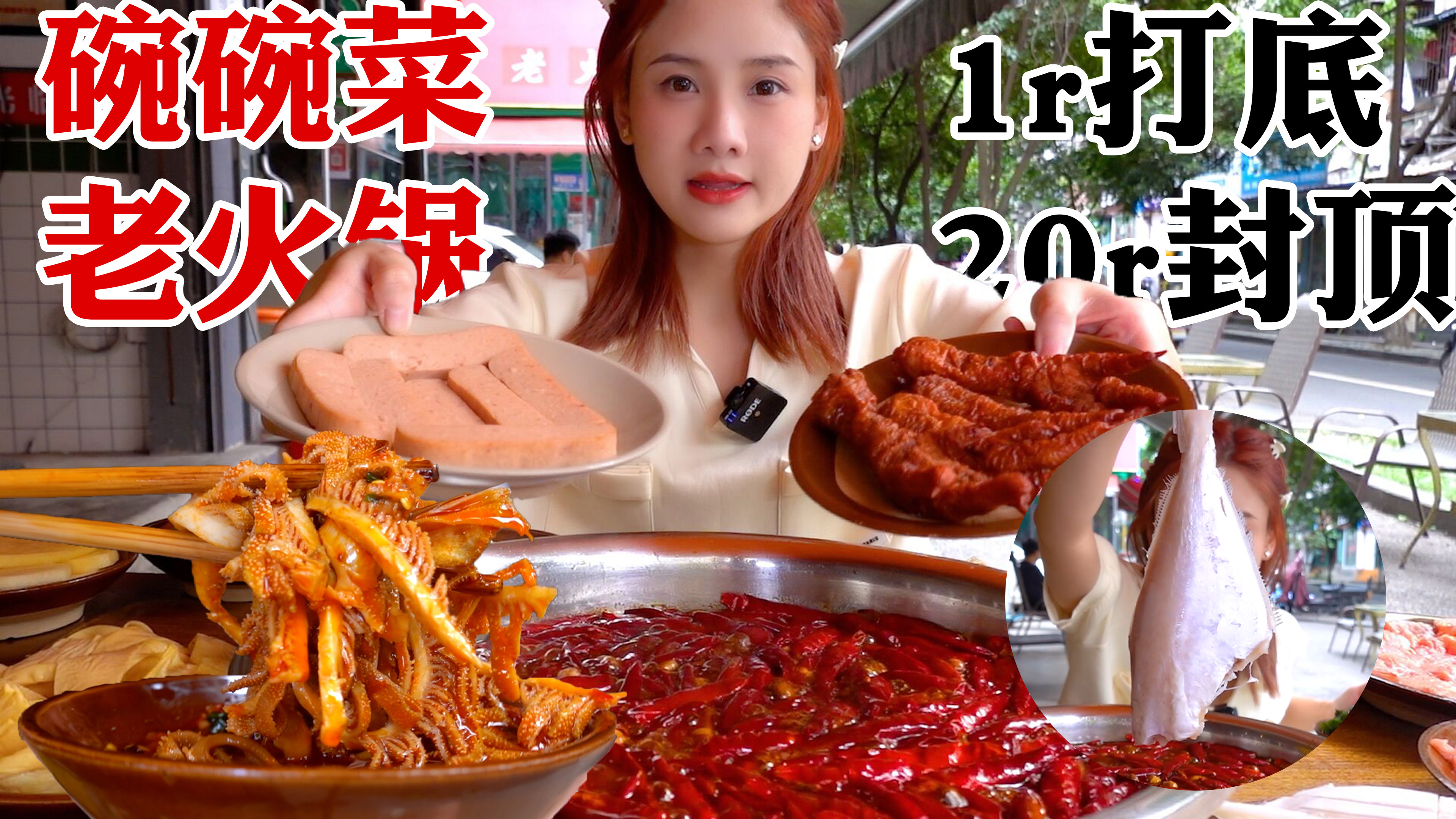 密子君·好评如潮碗碗菜老火锅!极品耗儿鱼比脸还大,20元超值