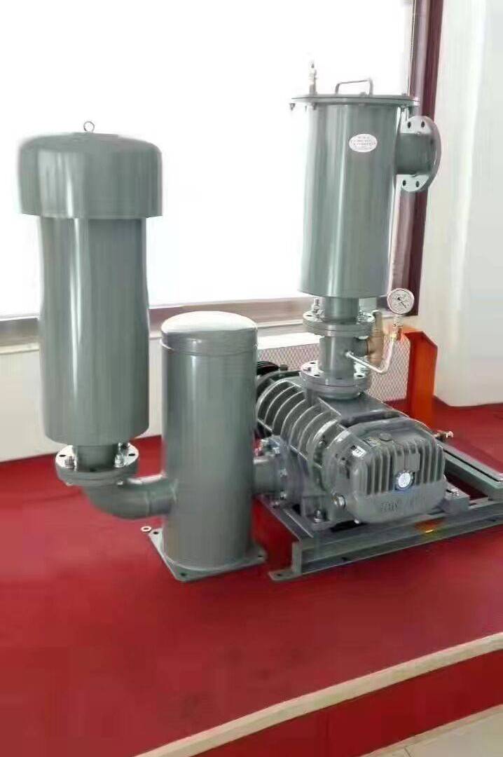 台湾龙铁罗茨风机