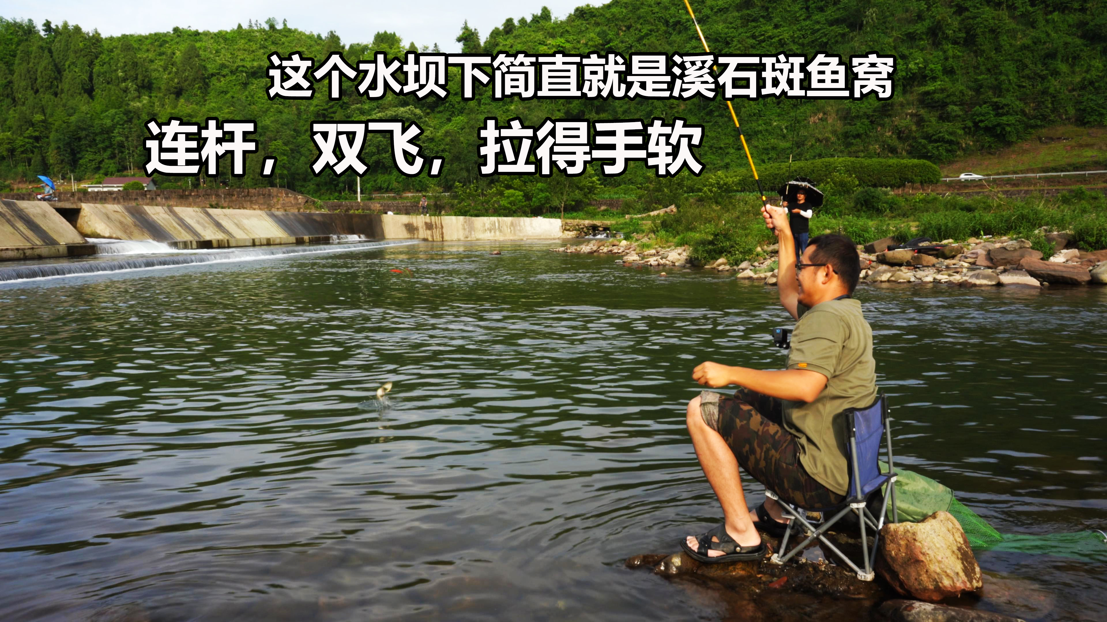 这个水坝简直是奇迹,溪石斑一窝又一窝好似钓不尽,拉得手软