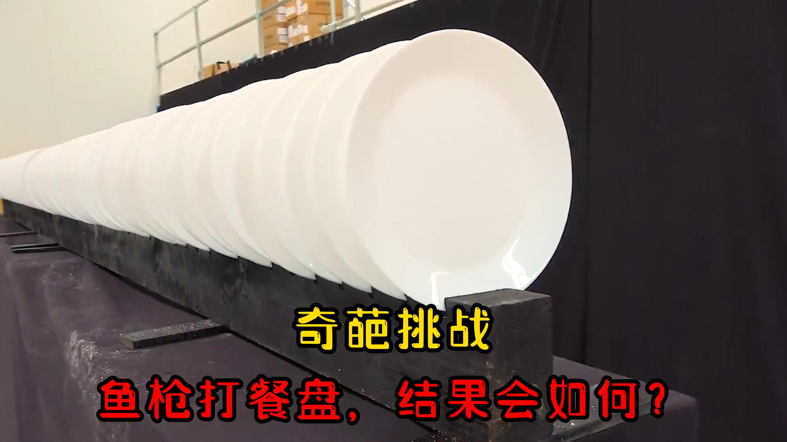 鱼枪打餐盘,结果会如何?