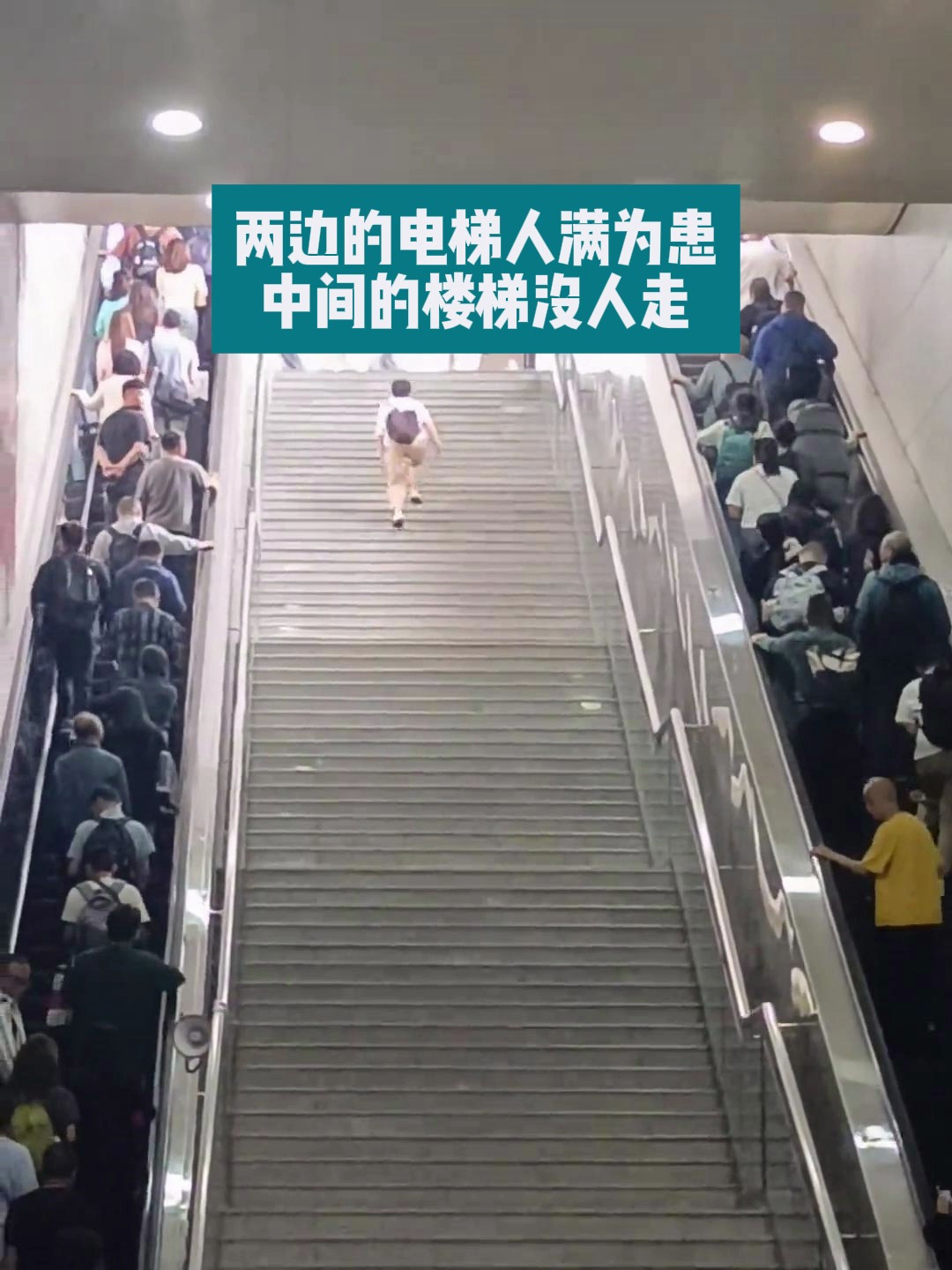 两边的电梯人满为患,中间的楼梯没人走