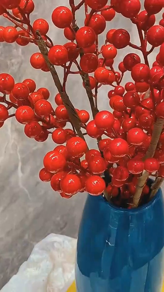 发财果红果颗粒饱满 颜色艳丽 意头又好-度小视