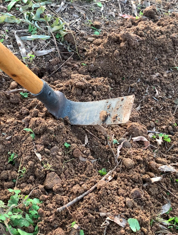 户外开路小锄头除草松土翻地种菜种花园艺工具-度小视