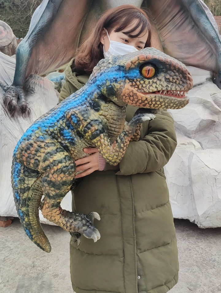 如何操控一只霸王龙小宝宝手偶模型