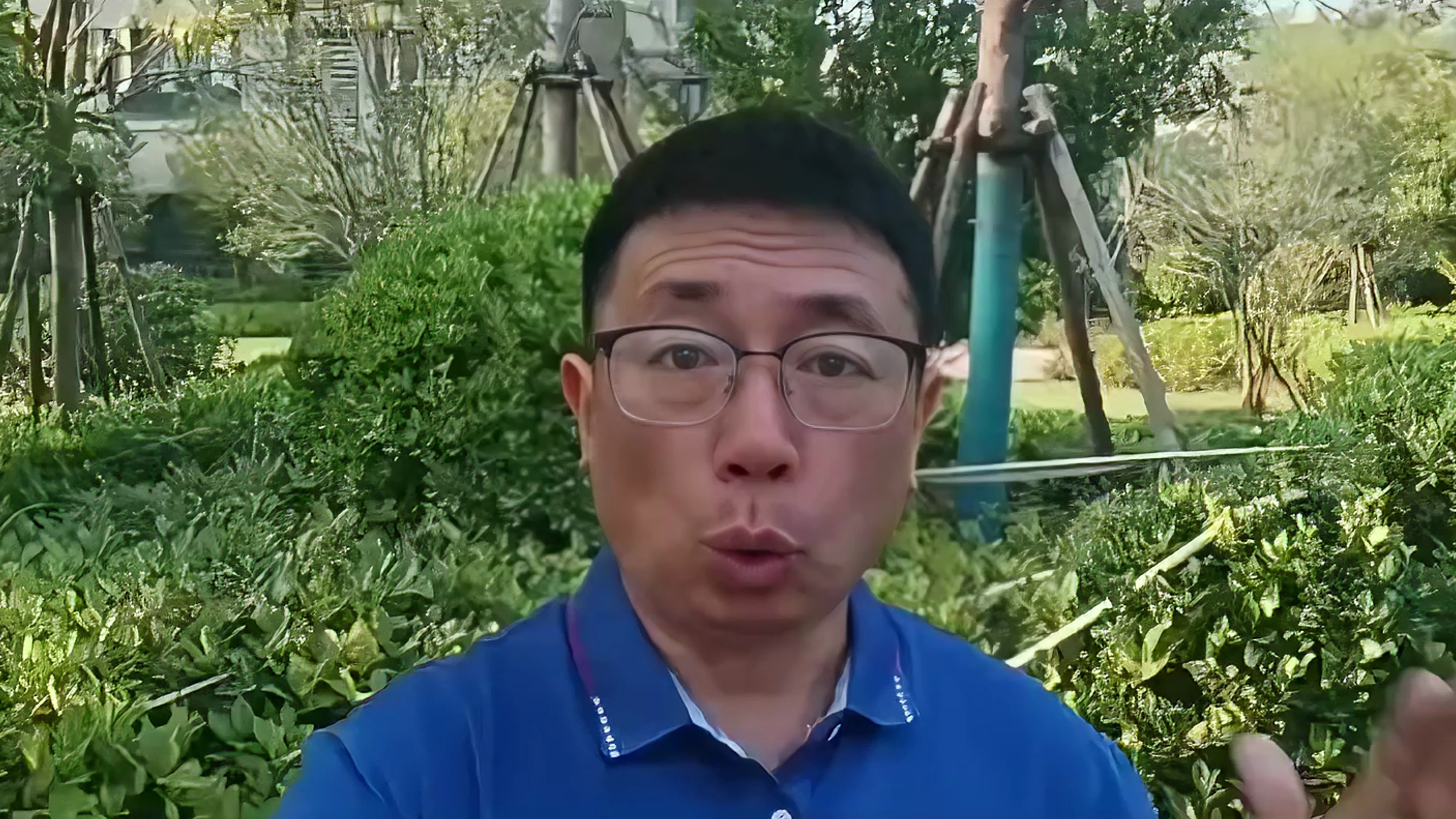 全年蔬菜种植时间表千万要保存了