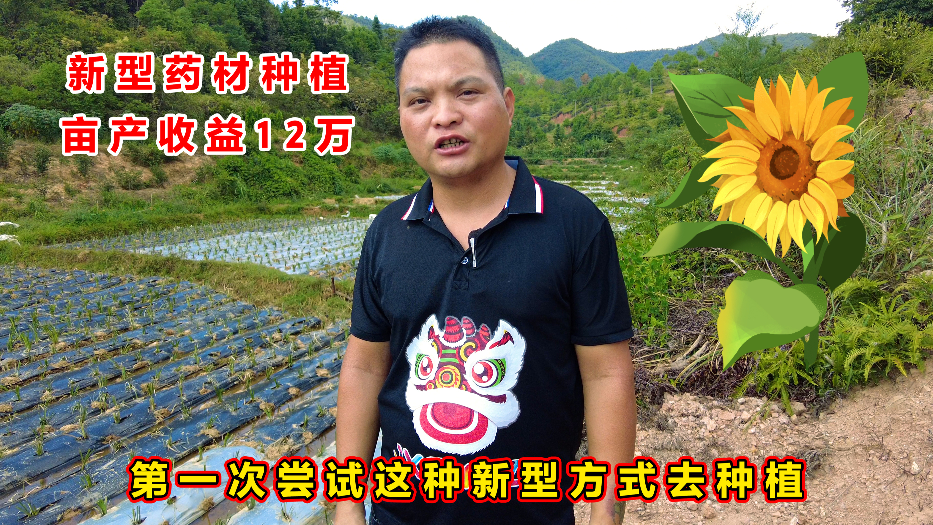 新型药材种植,亩产收益12万,看看适合什么环境种植?